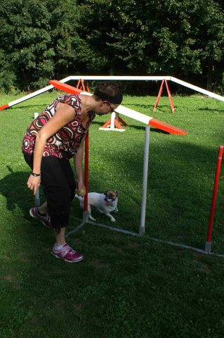 agility 2011-08